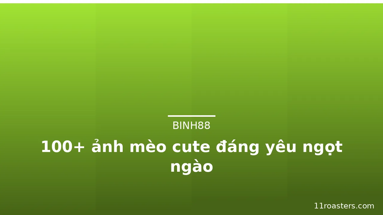 100+ ảnh mèo cute đáng yêu ngọt ngào · ảnh 1