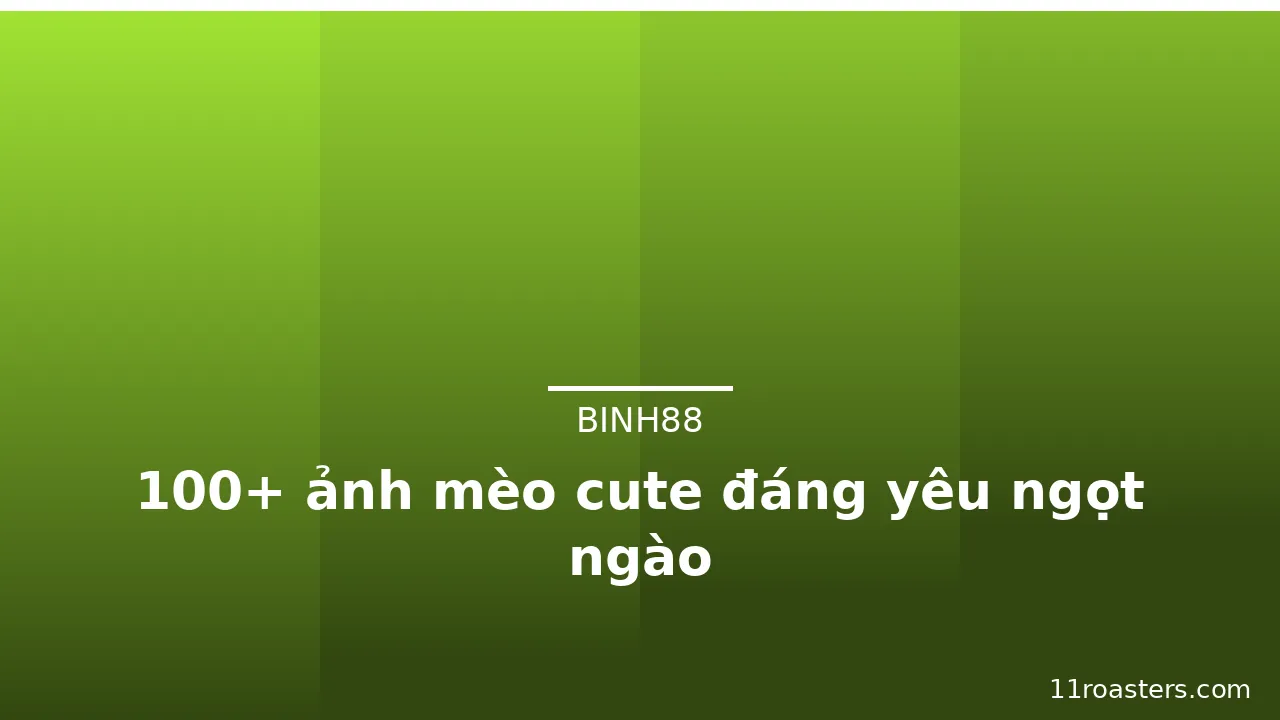 100+ ảnh mèo cute đáng yêu ngọt ngào · ảnh 2