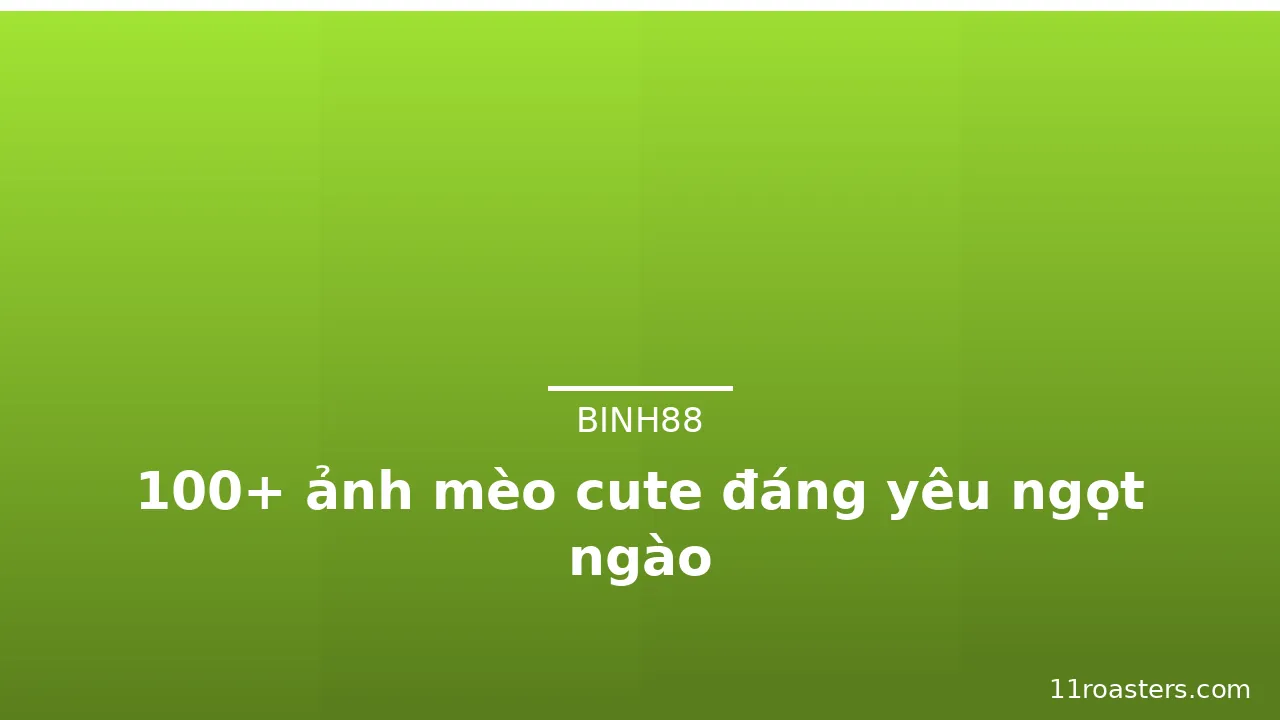 100+ ảnh mèo cute đáng yêu ngọt ngào · ảnh 3