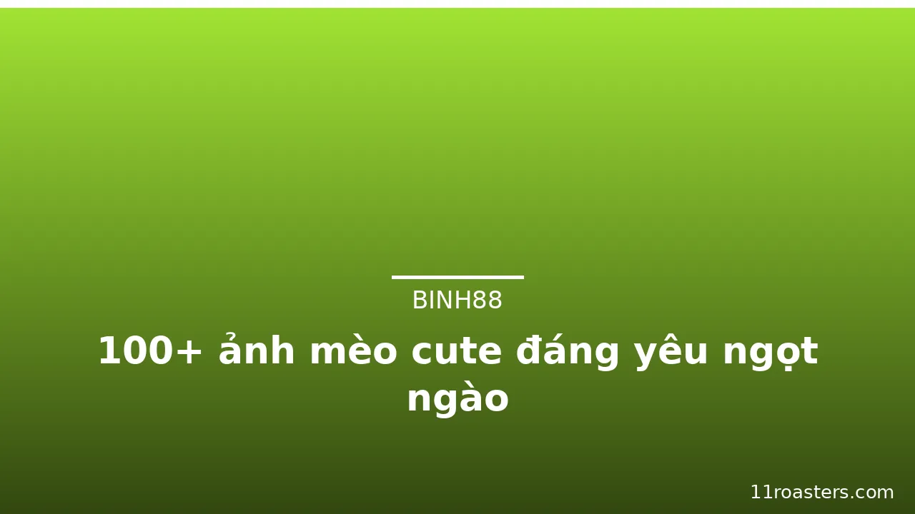 100+ ảnh mèo cute đáng yêu ngọt ngào