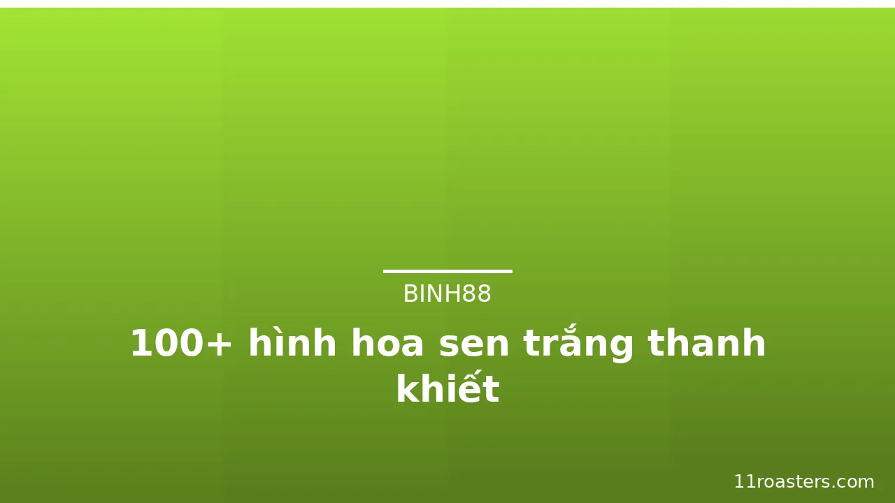 100+ hình hoa sen trắng thanh khiết · ảnh 2