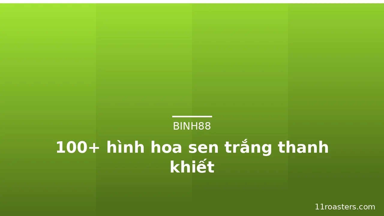 100+ hình hoa sen trắng thanh khiết