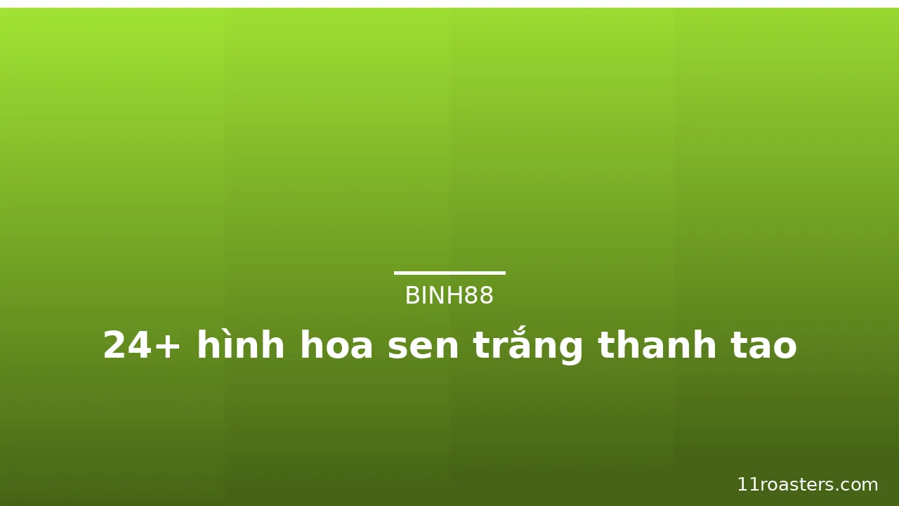 24+ hình hoa sen trắng thanh tao · ảnh 3