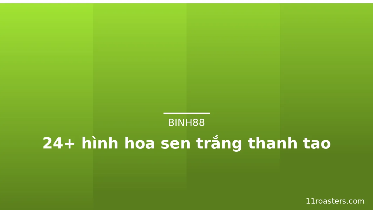 24+ hình hoa sen trắng thanh tao